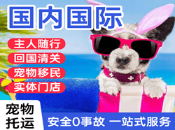 西昌国际宠物托运 【国